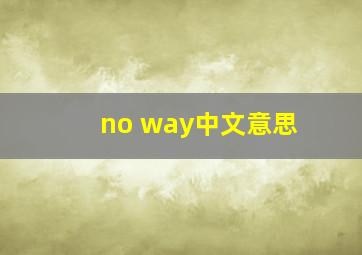 no way中文意思